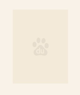 萌妻驾到：总裁别乱来