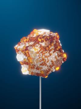 被亲生父亲卖出后,我选择怎样过自己的人生？