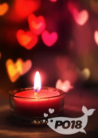 请宿主攻略所有男配