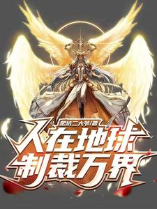 人在地球，制裁万界