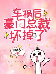 车祸后，豪门总裁坏掉了