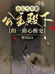 小乞丐升职公主殿下的一路心酸史