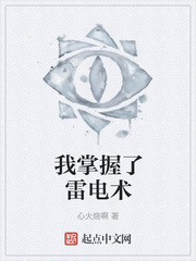 我掌握了雷电术