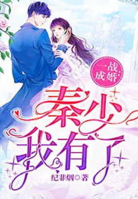 一战成婚秦少,我有了