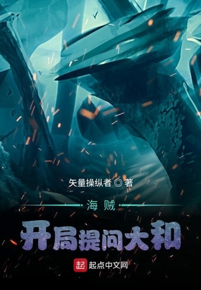 海贼开局提问大和