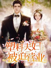 塑料夫妇被迫营业